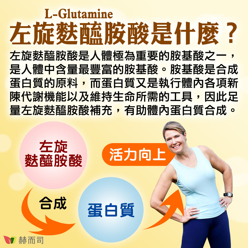左旋麩醯胺酸推薦 左旋麩醯胺酸是人體極為重要的胺基酸之一,是人體中含量最豐富的胺基酸。胺基酸是合成蛋白質的原料,而蛋白質又是執行體內各項新陳代謝機能以及維持生命所需的工具,因此足量左旋麩醯胺酸補充,有助體內蛋白質合成。