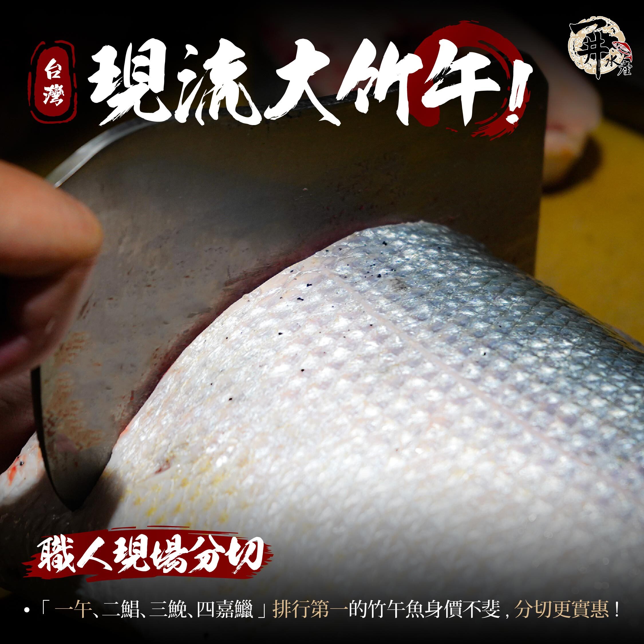 台灣 野生大竹午/午魚