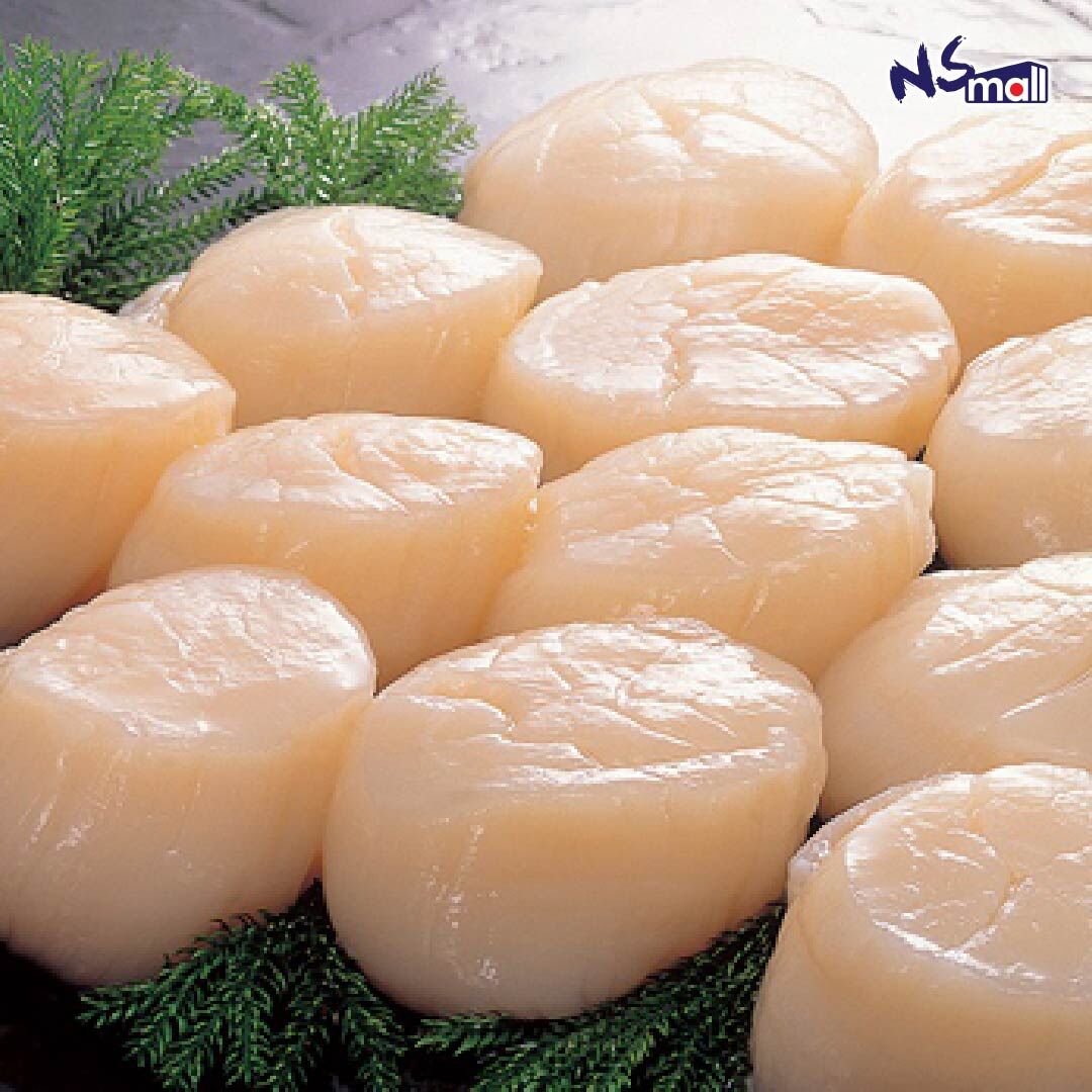 日本刺身帶子 21/25(L) (WH) 約1kg/盒