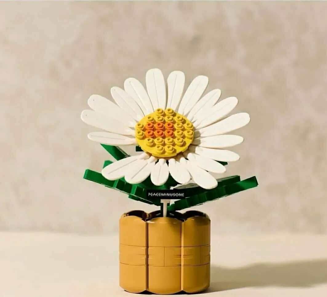 PEACEMINUSONE X OXFORD 聯名 雛菊花盆 小花 積木 G-DRAGON GD 權志龍 818 BLOOM