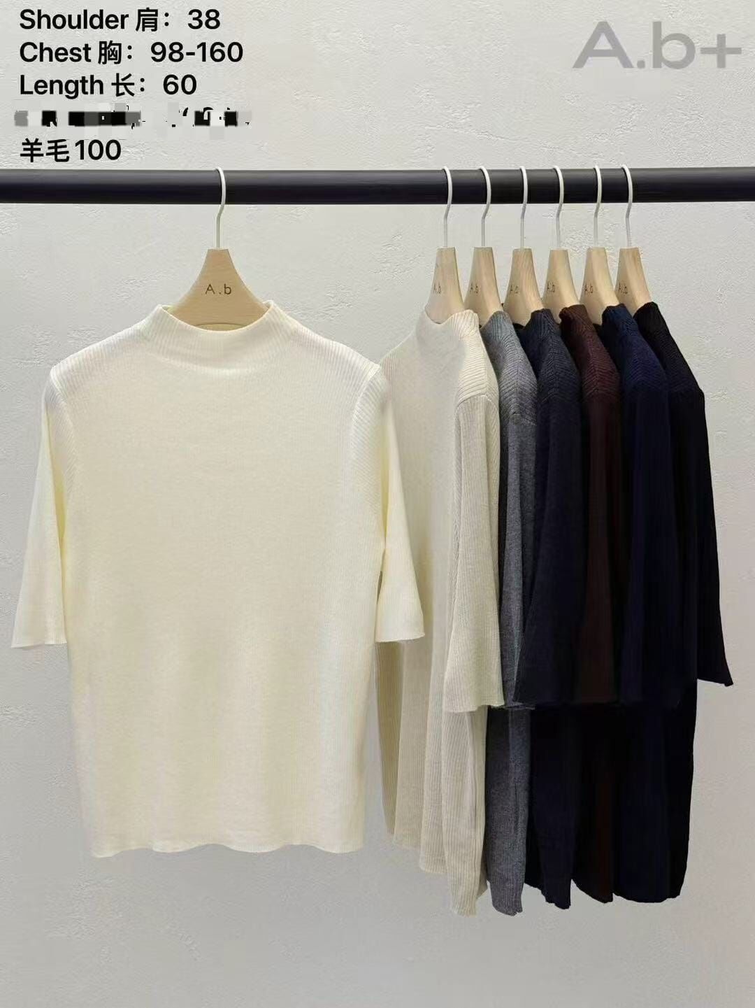 ABB5212 微高領直紋羊毛短袖 (優惠碼不適用)