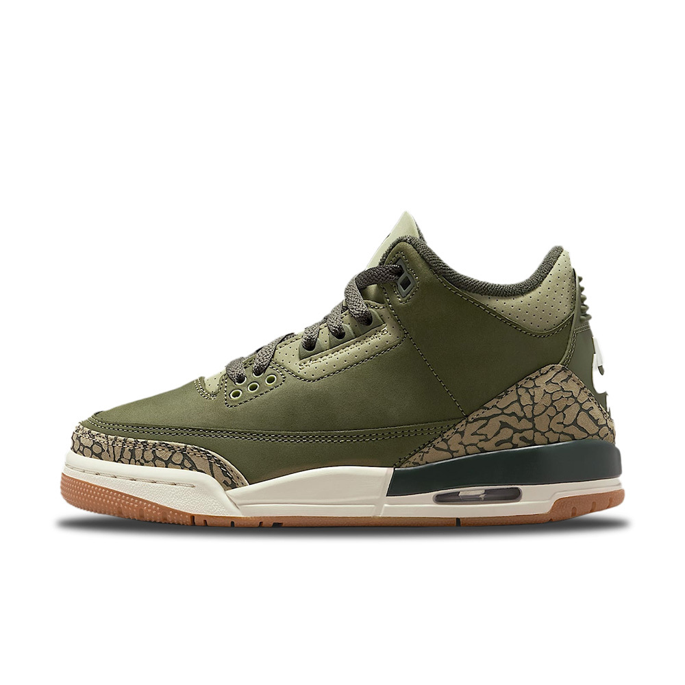 Nike Air Jordan 3 Retro Family Affair 橄欖綠 GS DM0967-202