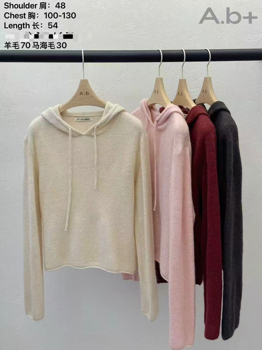 ABB5226 女友連帽羊毛上衣