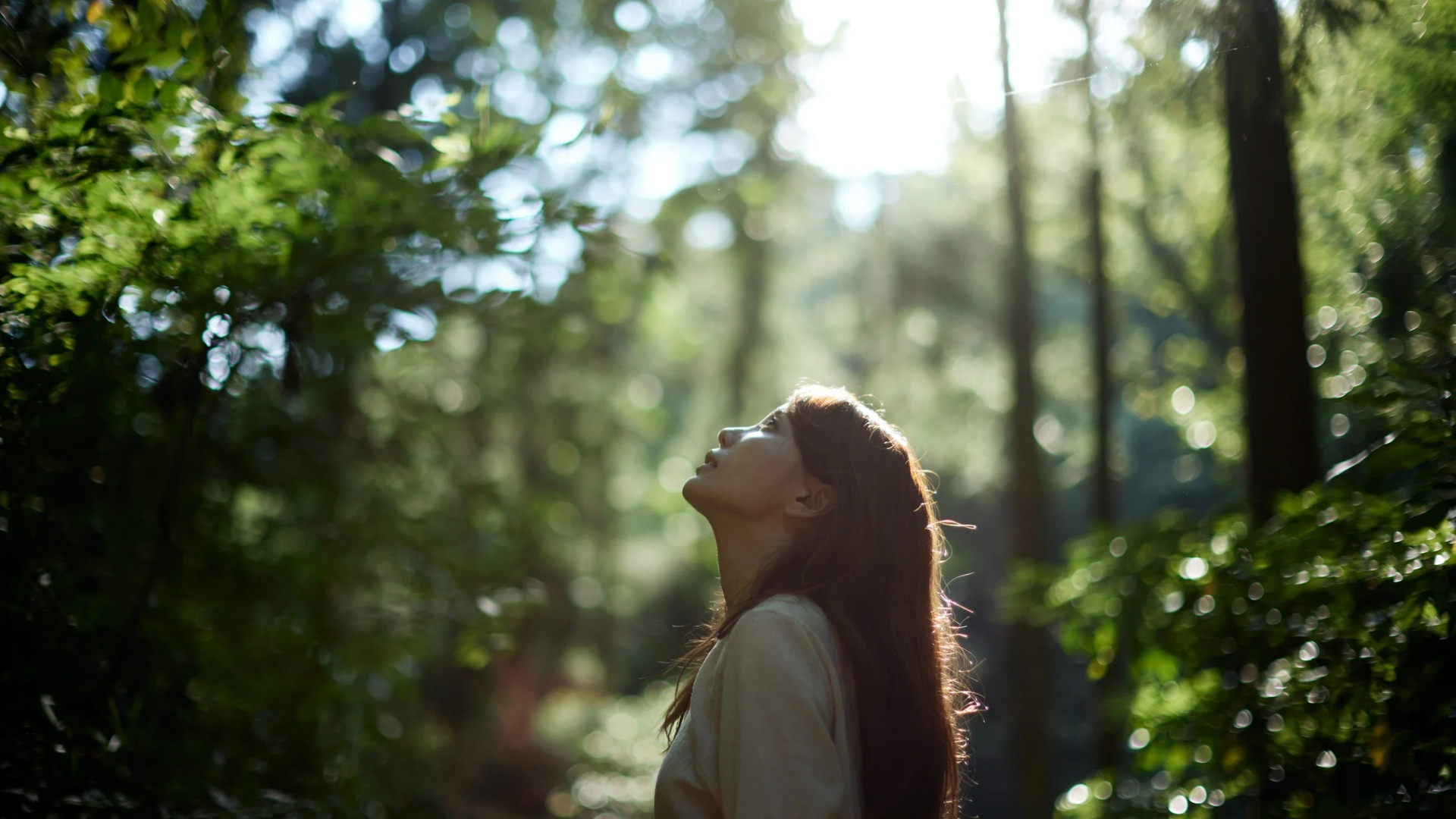 處暑,森林浴,中藥雞湯,二十四節氣,芬多精,蓮子雞湯,