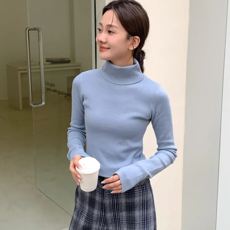 秋冬感BB刺繡高領螺紋合身上衣-F / 4色 (Elegant & Love)