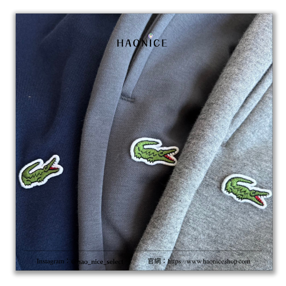 【HAO NICE】秋冬首選🌨️ LACOSTE 經典鱷魚🐊刺繡logo純色 休閒長褲 棉褲 運動褲