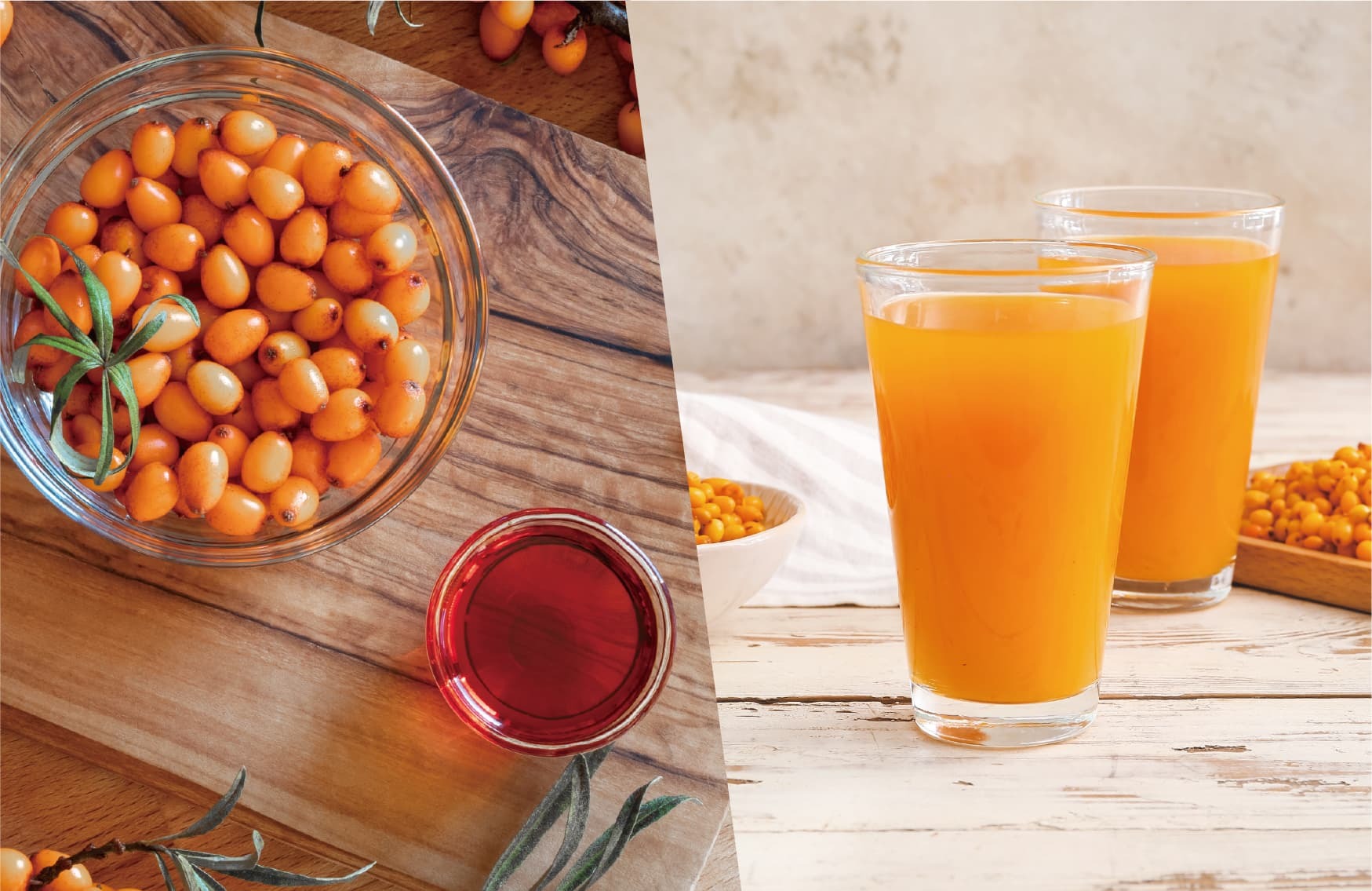 沙棘果油與沙棘果汁的差別：從營養成分到食用方式，選對更有效！