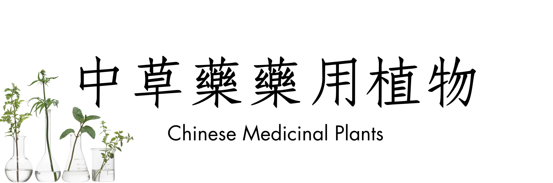 花寮農場 中草藥藥用植物