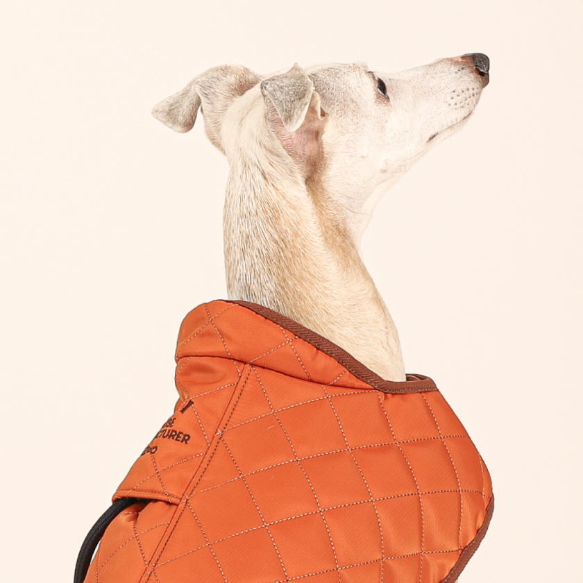 《 Hozi 》絎縫夾克外套