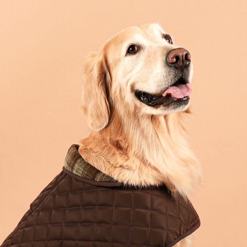 《 Hozi 》絎縫夾克外套