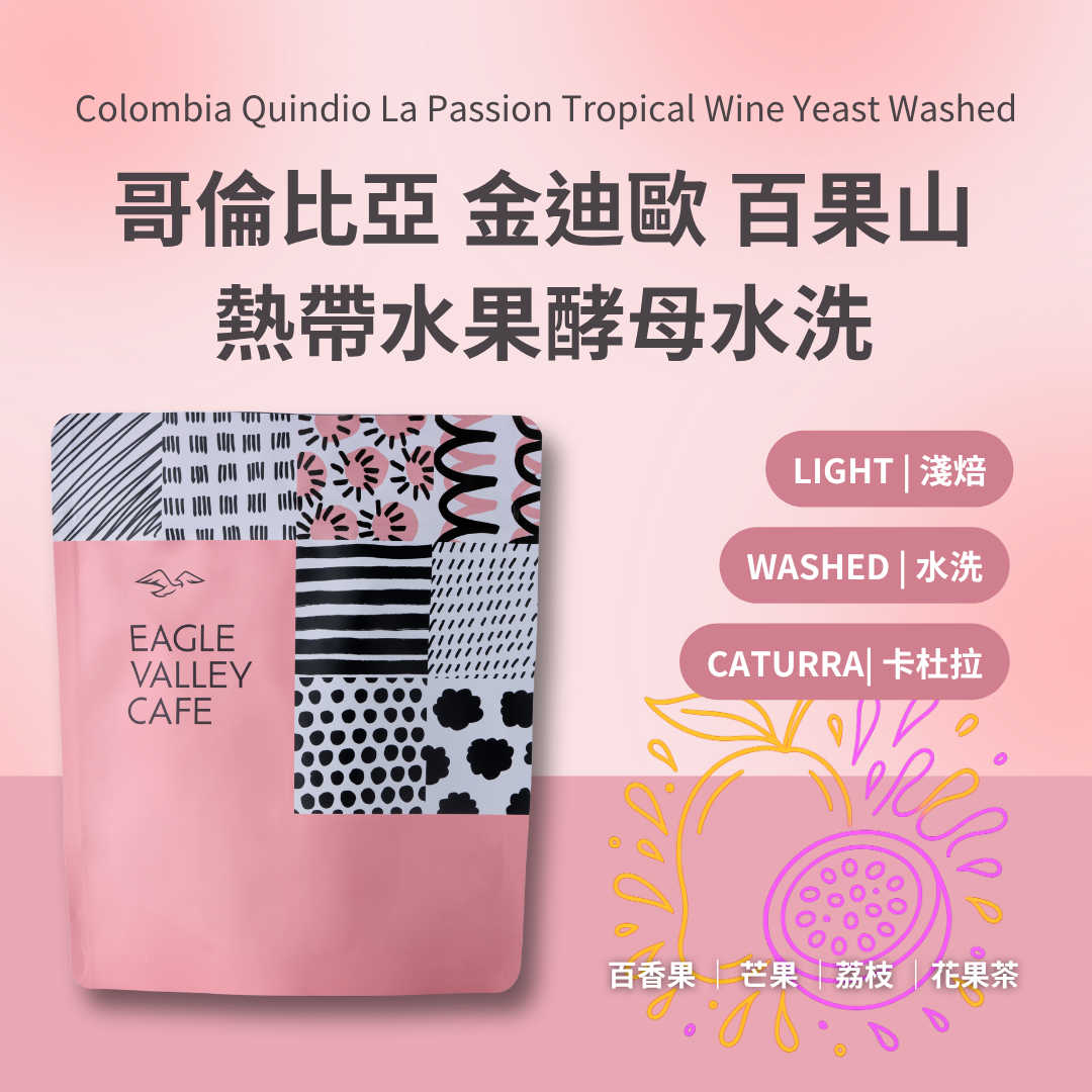 哥倫比亞 金迪歐 百果山 熱帶水果酵母 水洗處理 淺焙 咖啡豆