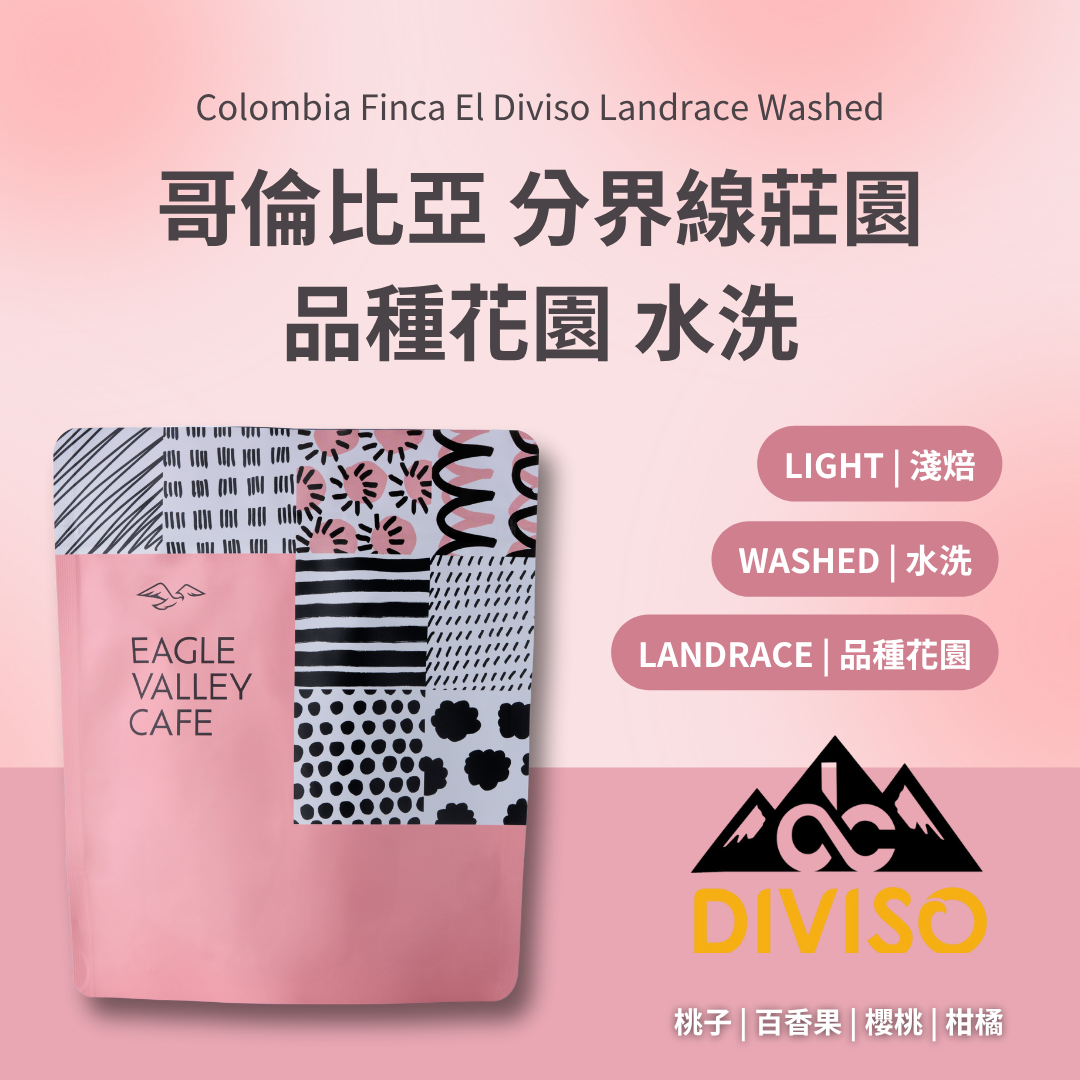 哥倫比亞 分界線莊園 品種花園 水洗 淺焙 咖啡豆