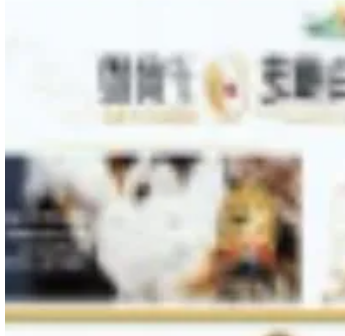 [S] Tai Yan Zhang Zhi Bai Zhang Zhi Tablet, 2.5g, 3pcs, STZ2 (STZ2)