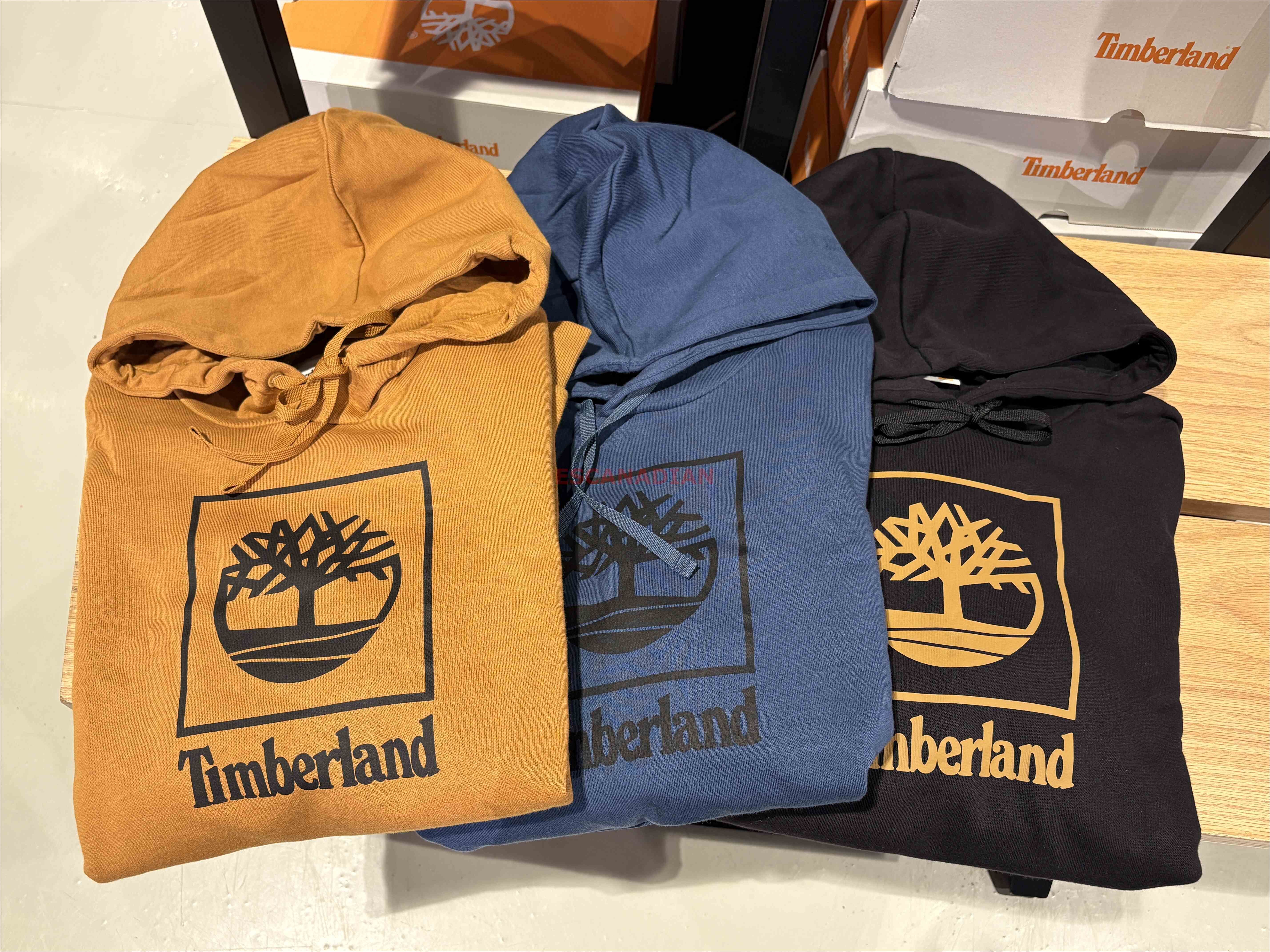 Timberland 大人 經典大樹LOGO 帽TEE (3色)