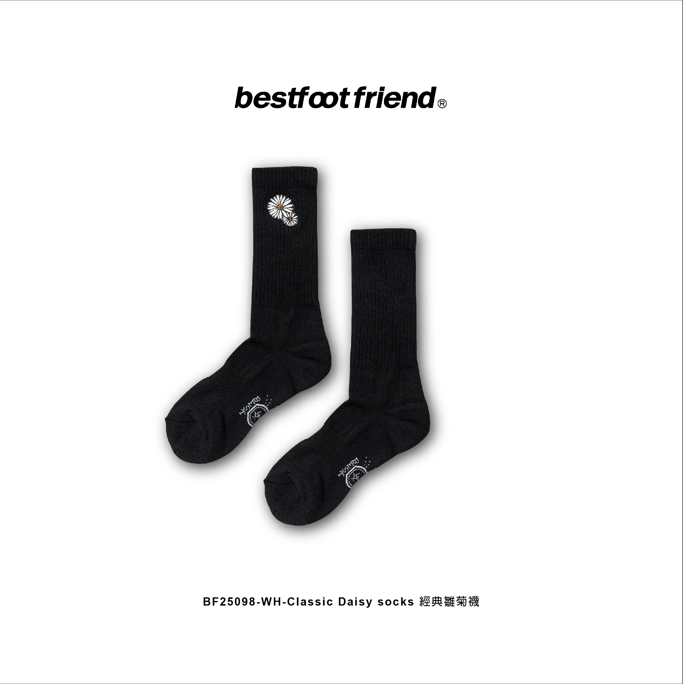 Classic Daisy_經典雛菊襪_BK_BF25098
