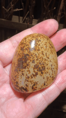 1023723 和田玉原籽