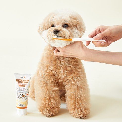 RESPET Dental Clean Toothpaste Chicken Flavor For cats & dogs 100g