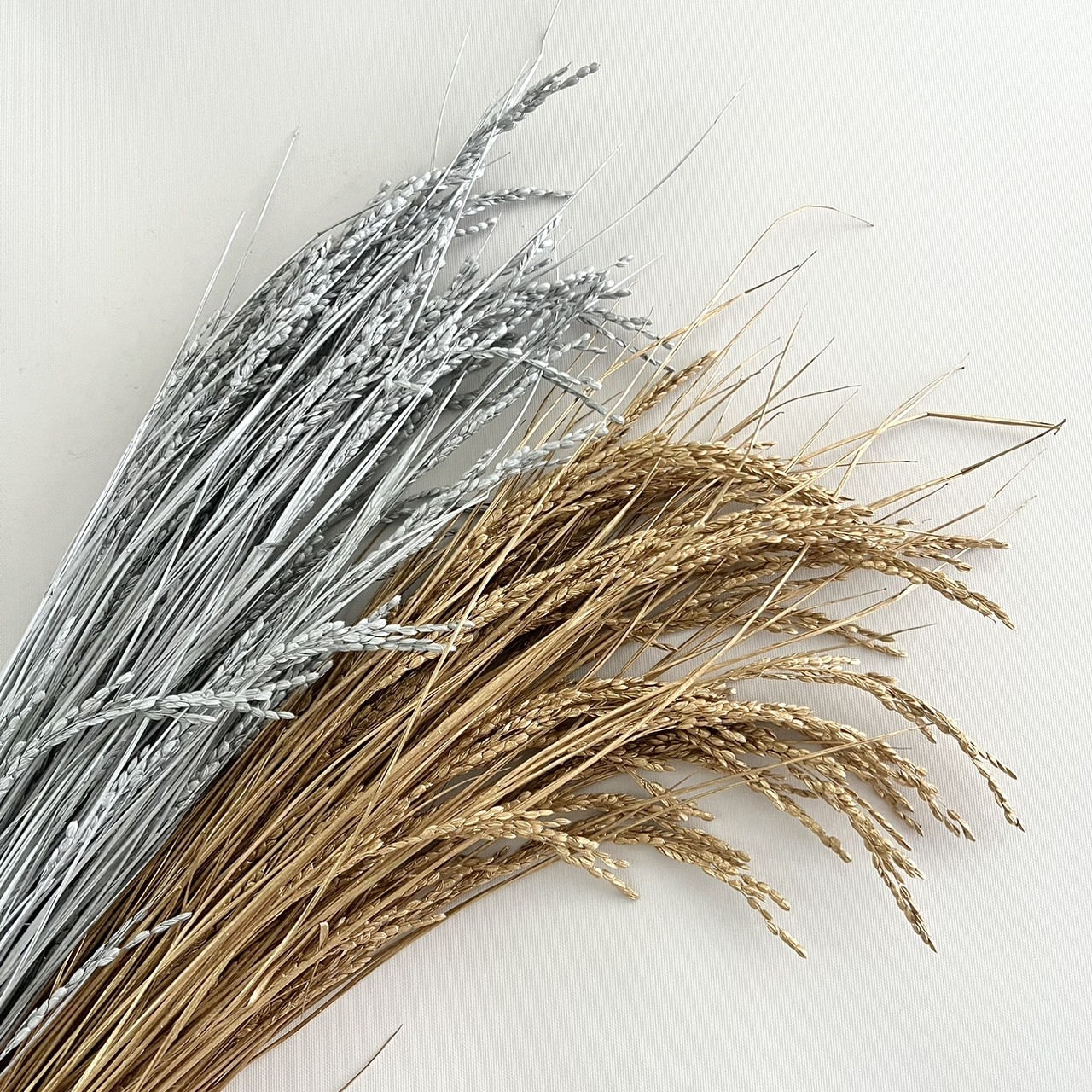 金/銀 乾燥稻穗