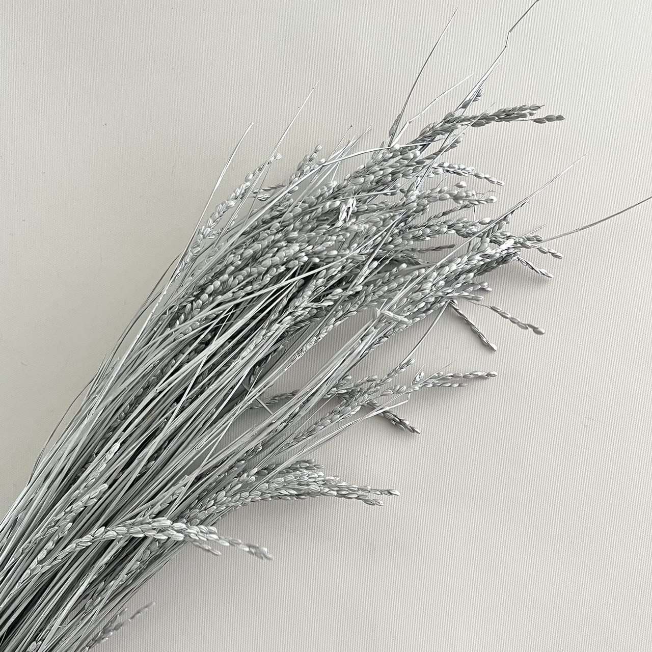 金/銀 乾燥稻穗