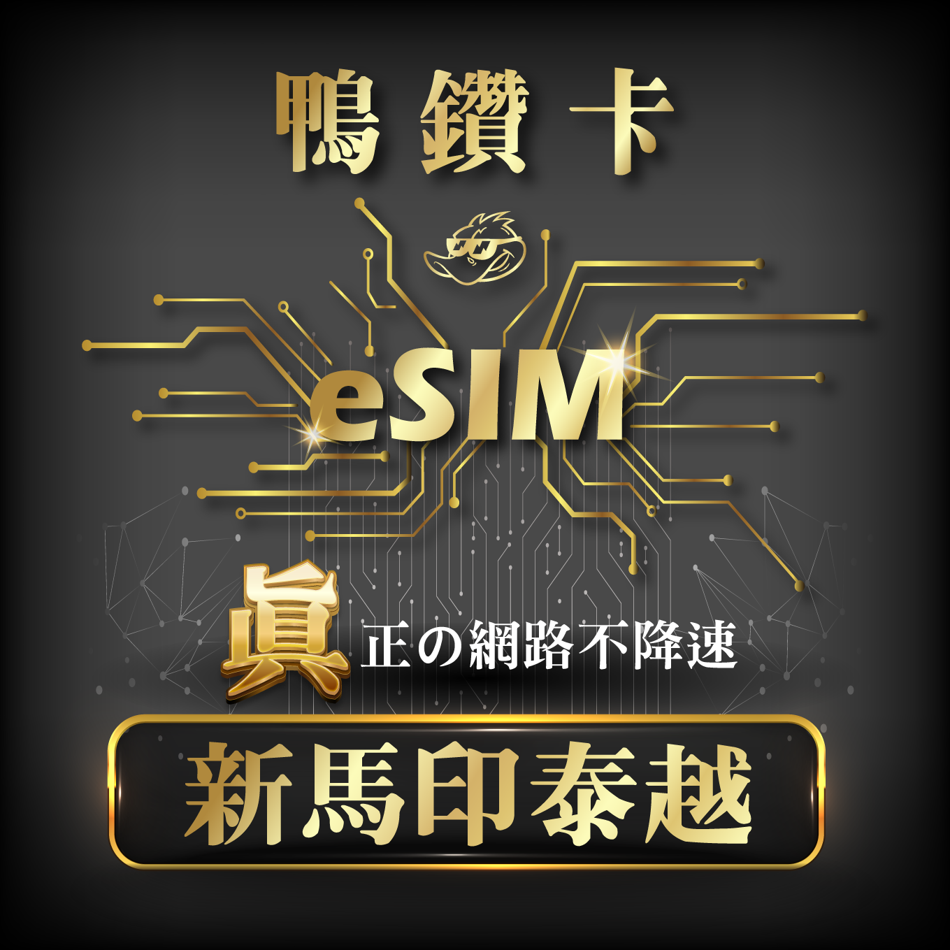 【鴨哥鴨鑽卡eSIM】新加坡 馬來西亞 印尼 泰國 越南 eSIM 無限流量 吃到飽不降速 免換卡