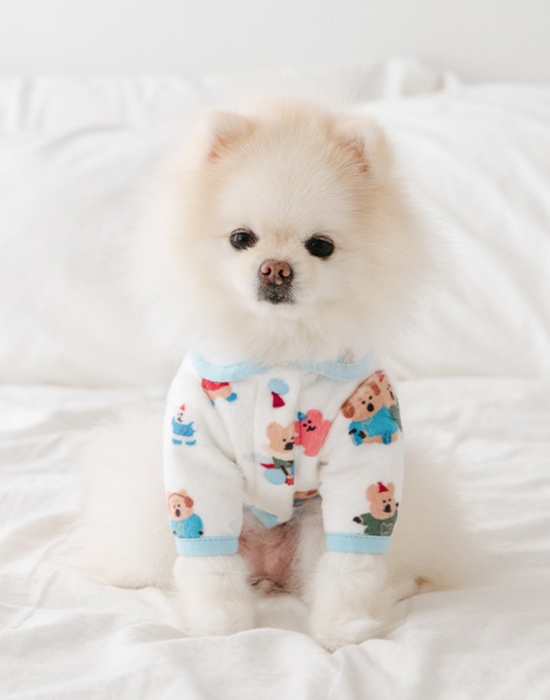 Noutti DINOTAENG 雪花小鎮長袖睡衣