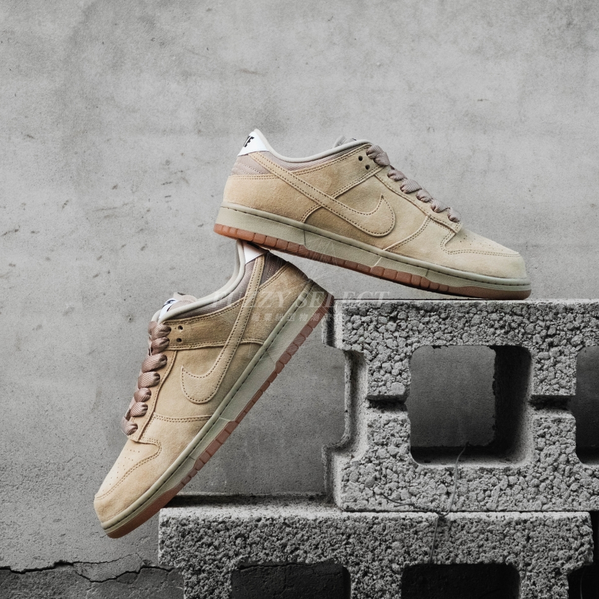 【逢甲 FUZZY】Nike SB Dunk Low "Parachute Beige" 駱駝 麂皮 HJ0367-200