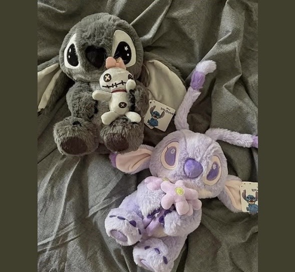 小紅書爆款 地區限定 史迪奇Stitch 絨毛玩偶