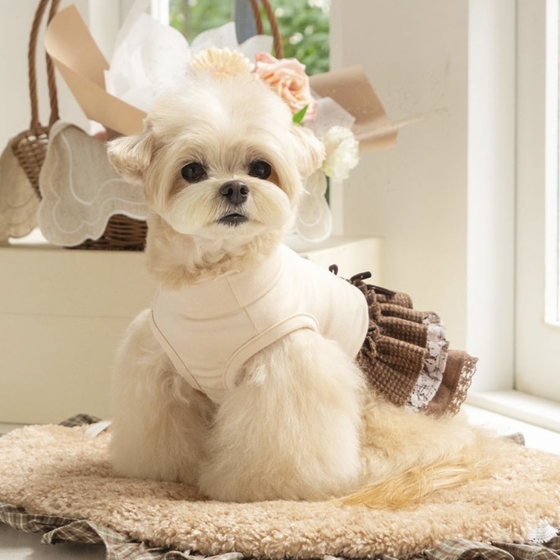 Cancan素雅內搭層裙 -棕色拼花（米杏色） It’s sunny outside