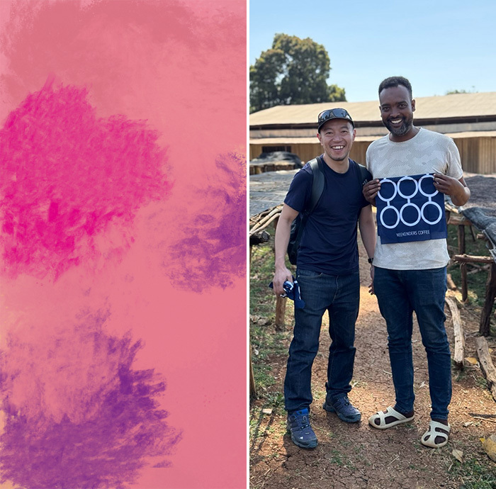 埃塞俄比亞 Danche Natural - 25 年 12 月烘焙