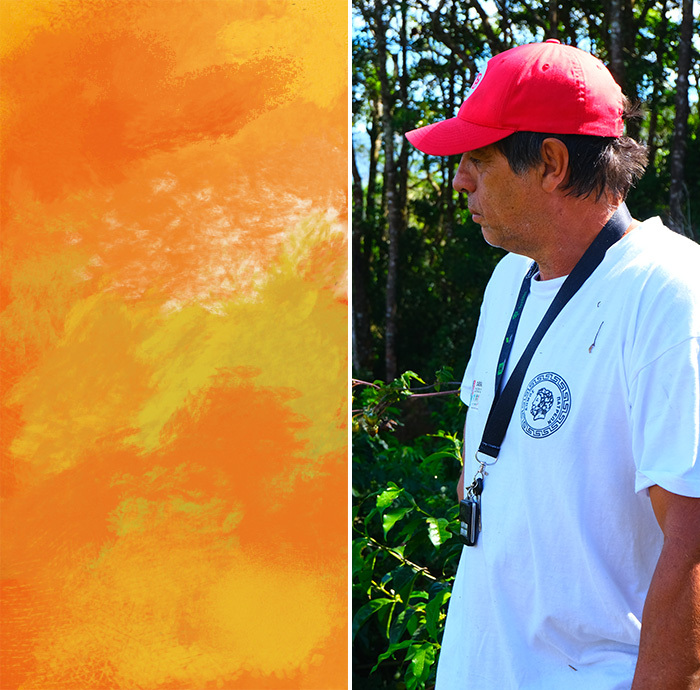 哥斯達尼加 Carlos Montero”Don Eli” - 25 年 12 月烘焙