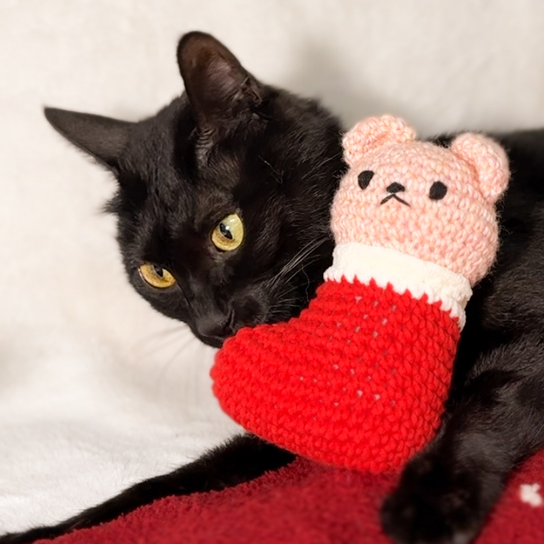聖誕襪 Peachie｜貓咪專屬版