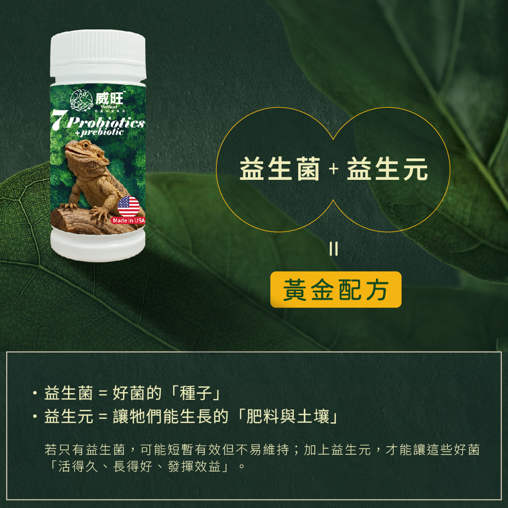 威旺WeWant 蜥蜴用益生菌+益生元-超能7菌30g,添加益生菌及益生元