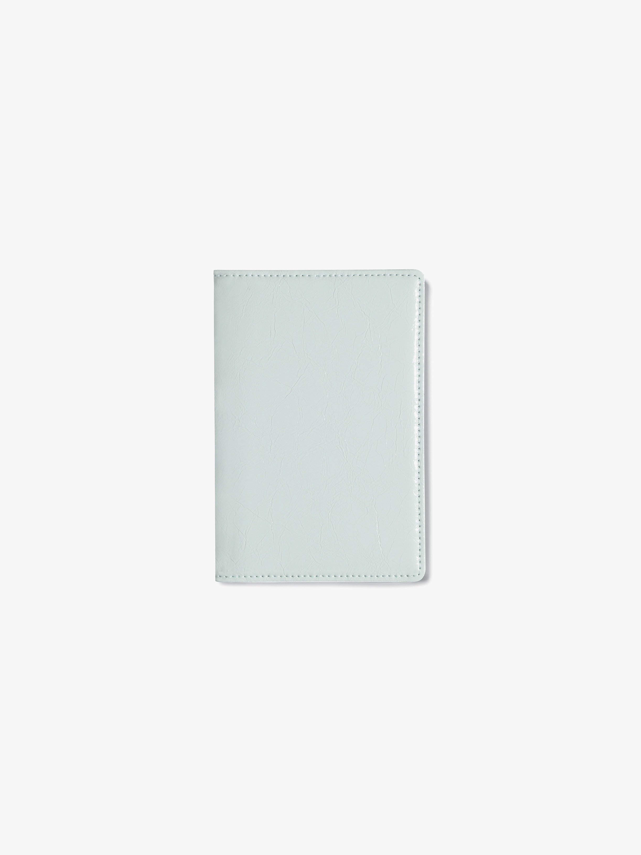 fennec - CRINKLE PASSPORT CASE - PALE MINT