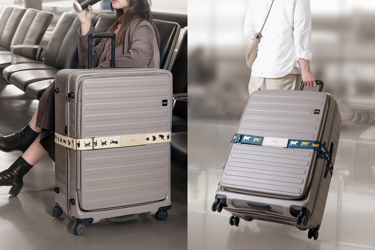 行李束帶,出國,旅遊,自由行