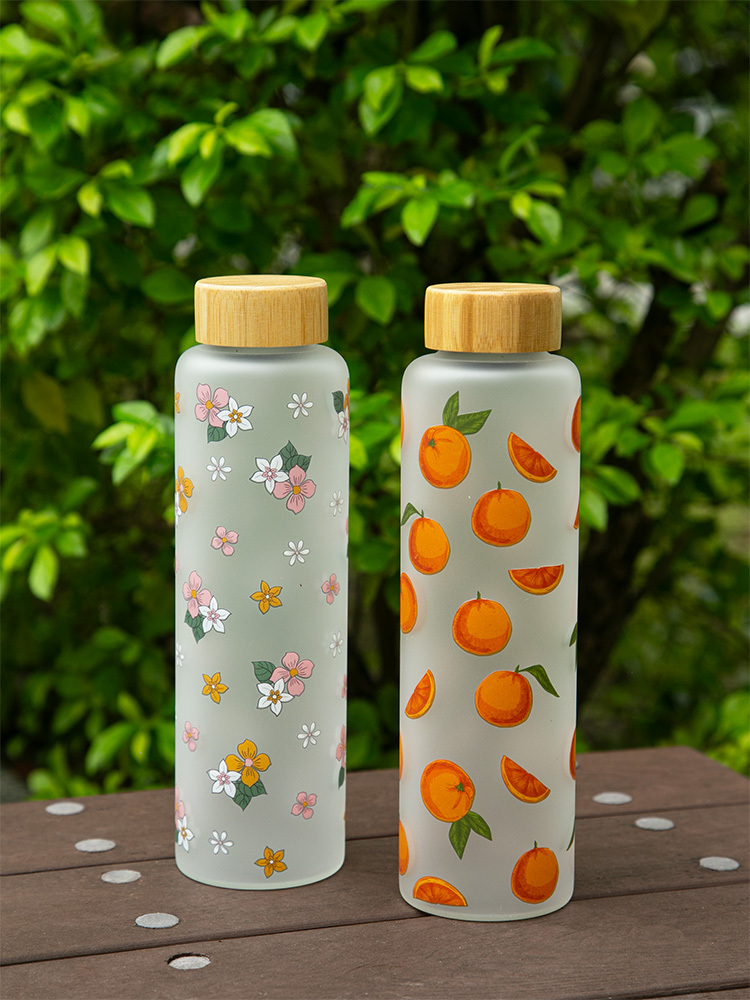 無毒玻璃水瓶雙入組