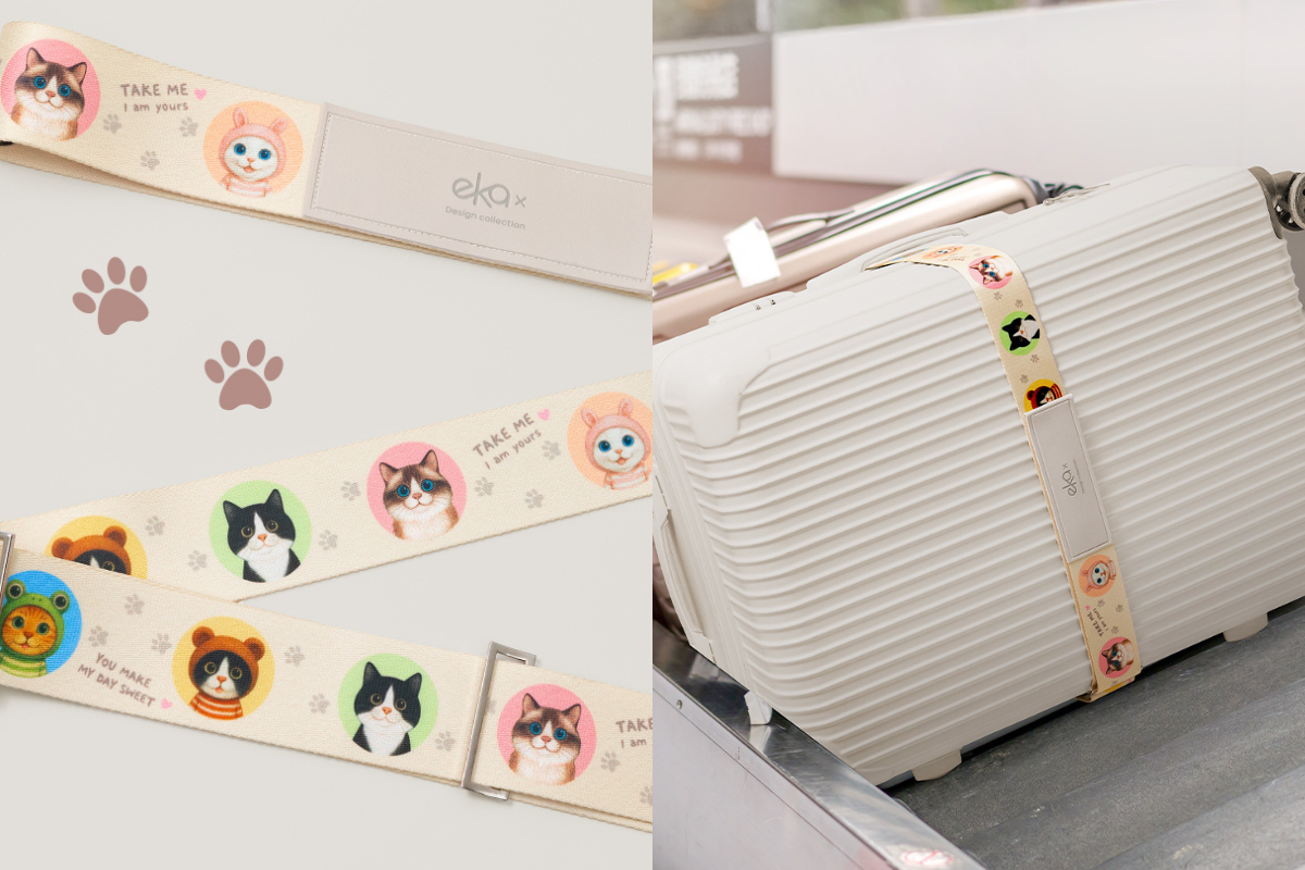 軟萌家族,貓咪,貓奴,貓,白貓,賓士貓