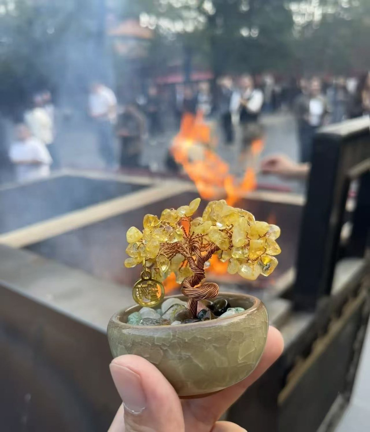 北京雍和宮- 開運發財樹 年末開運小物 送禮自用 發財多金 辦公室療癒小物