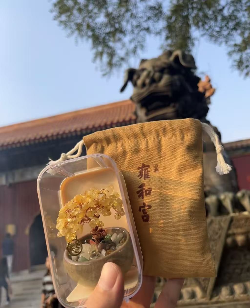 北京雍和宮- 開運發財樹 年末開運小物 送禮自用 發財多金 辦公室療癒小物