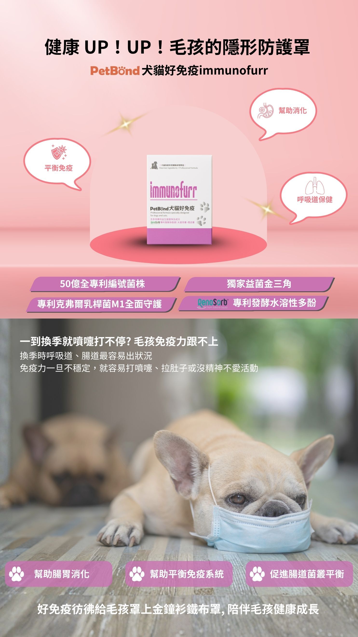 PetBond 犬貓好免疫 immunofurr 益生菌主視覺圖，強調毛孩平衡免疫、幫助消化與呼吸道保健。含50億專利編號菌株、克菲爾乳桿菌M1與發酵水溶性多酚，守護腸胃健康與免疫系統。