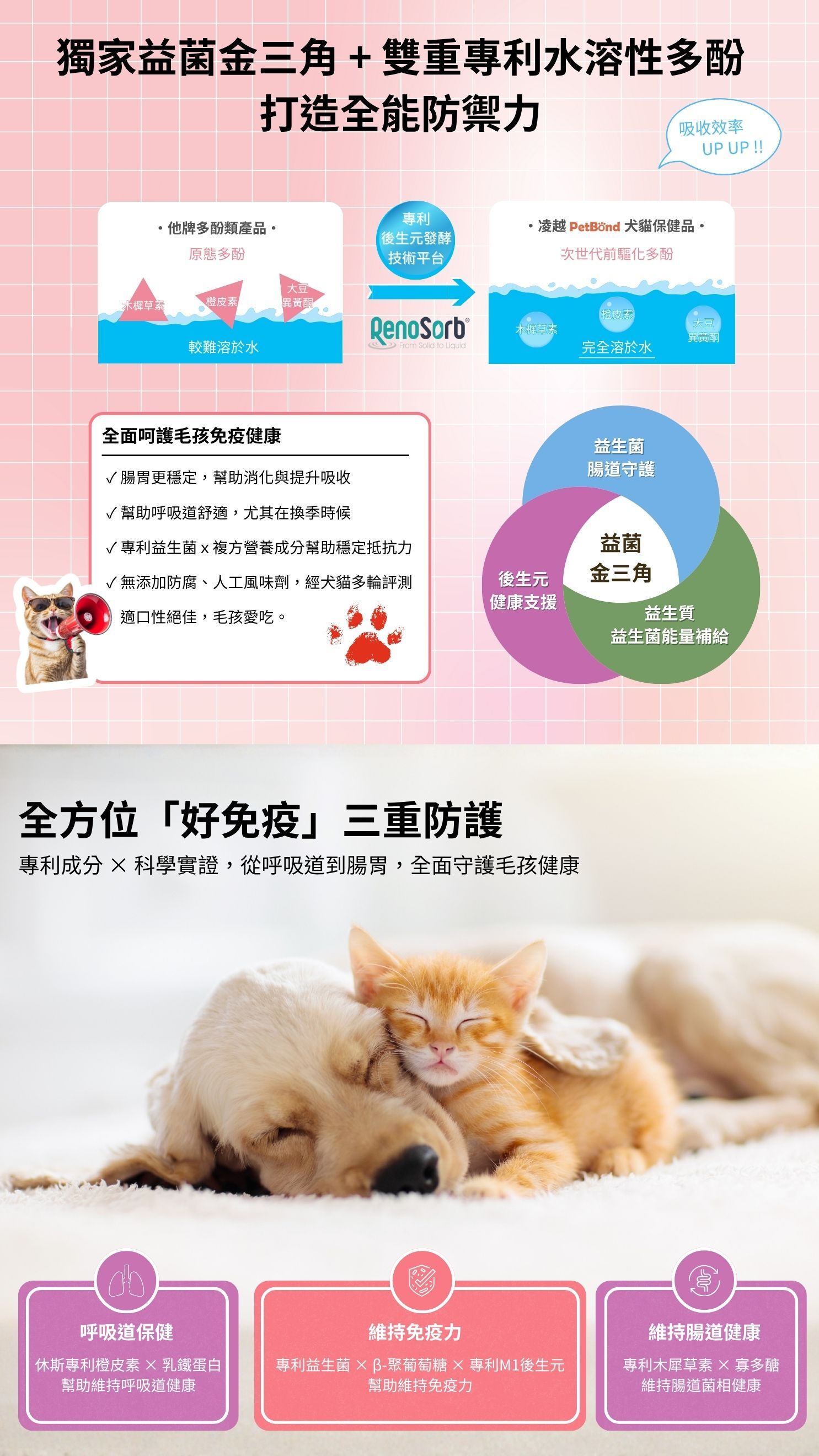 PetBond 犬貓好免疫 immunofurr 功能說明圖，呈現獨家益菌金三角與雙重專利水溶性多酚技術，提升吸收效率與防禦力。說明產品以後生元發酵平台 RenoSorb 結合益生質與益生菌能量補給，幫助毛孩腸胃穩定、呼吸道保健及免疫維持，全面打造全能防禦力。