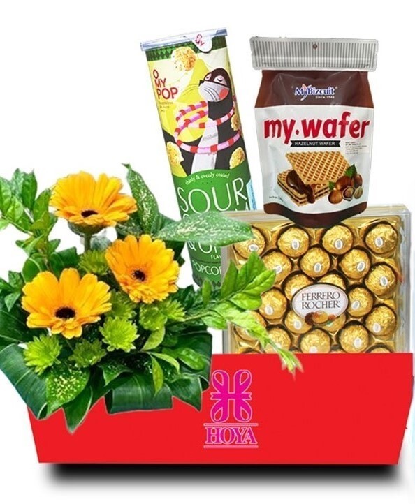 HS69⭐⭐⭐⭐⭐free delivery