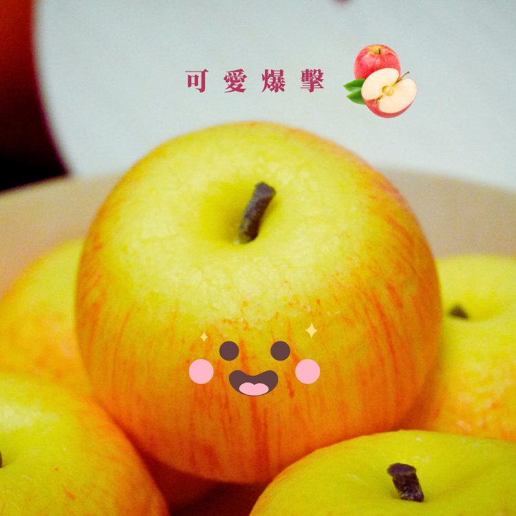 【新品上市】美食嚴選｜蘋果牛奶流沙包 (10入)