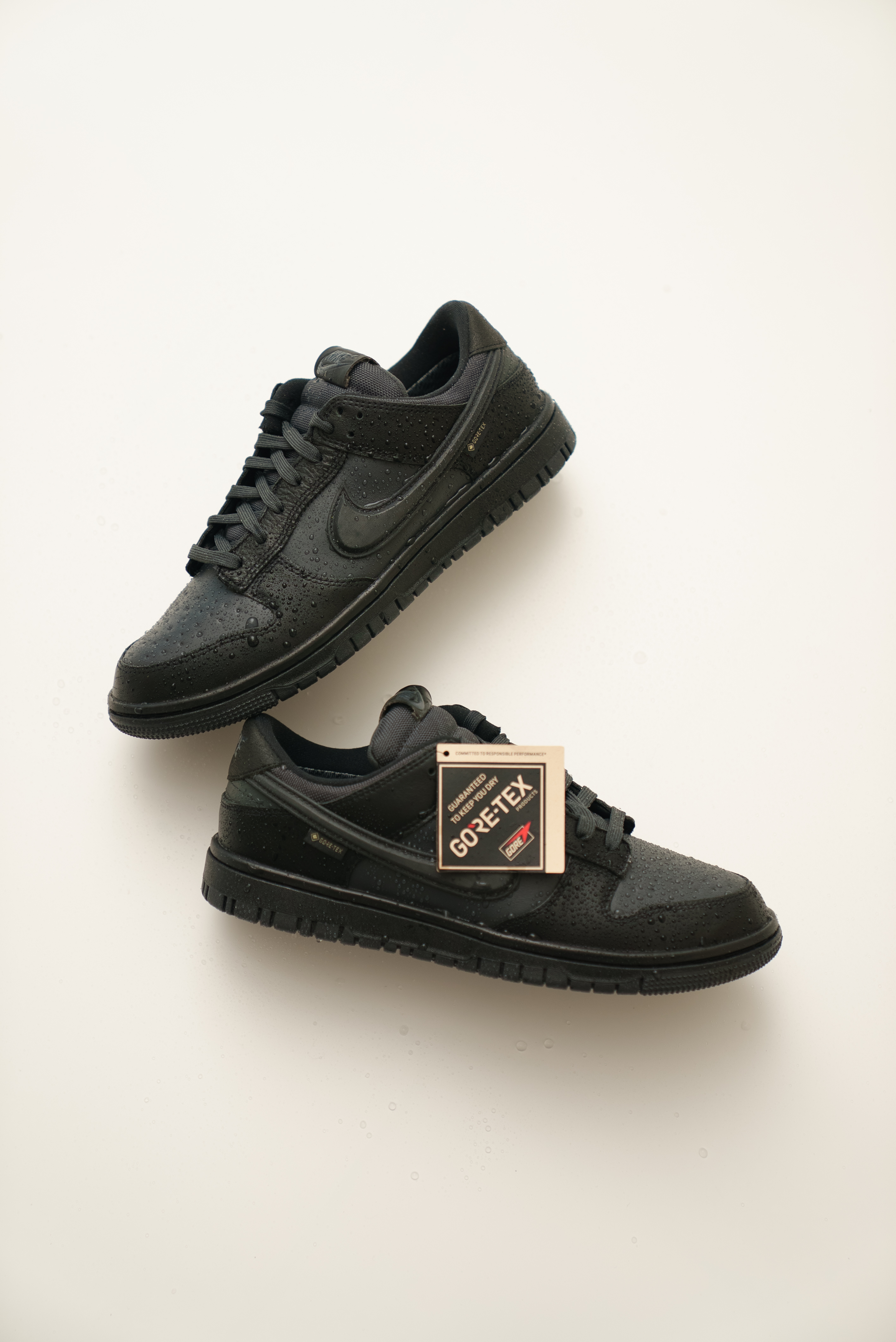 【Focus Store】預購 Nike Dunk Low Gore-Tex Triple "Black" 黑色 防水款 HQ2053-001