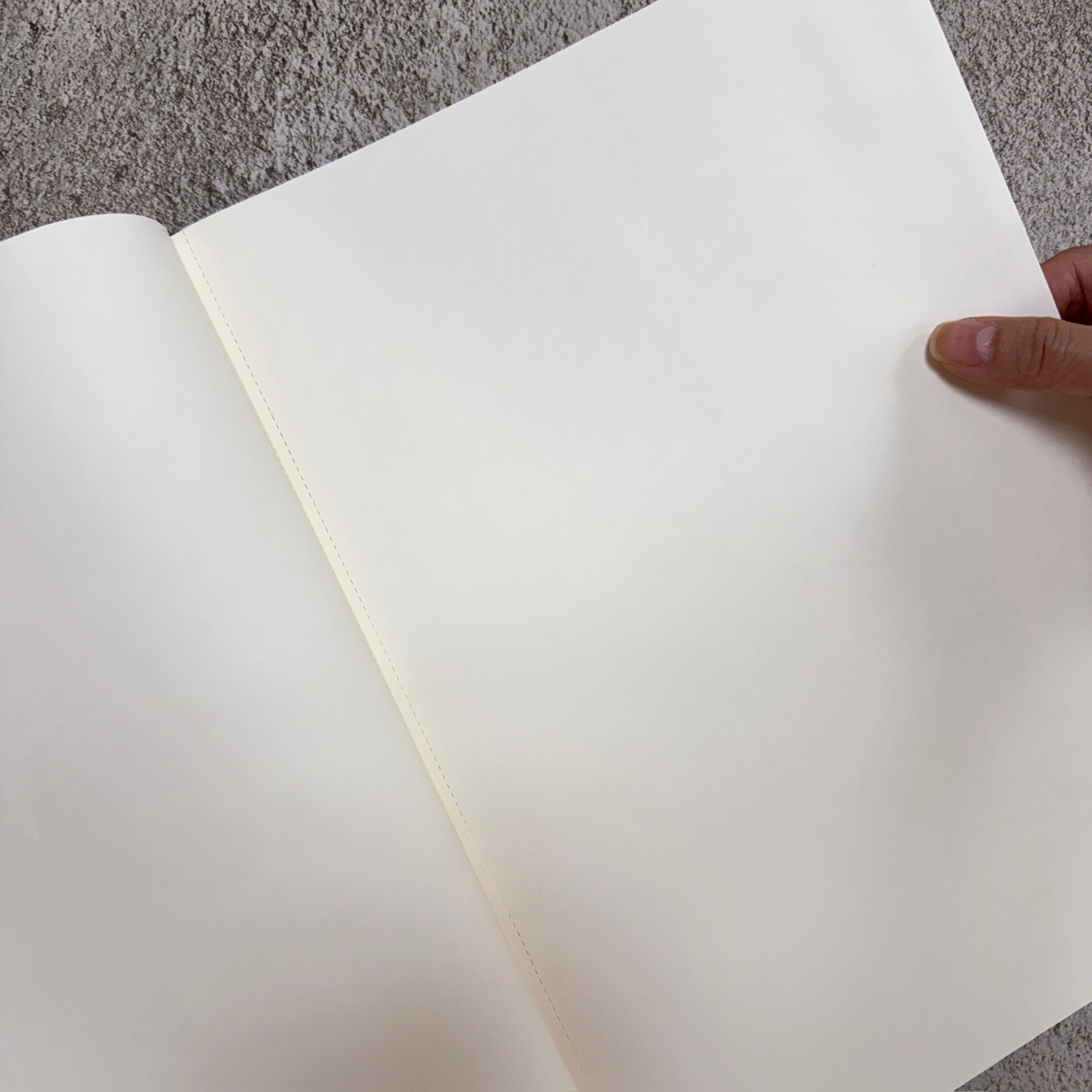 MOLESKINE ｜  PRO NOTEBOOK 專業精裝筆記本 A4