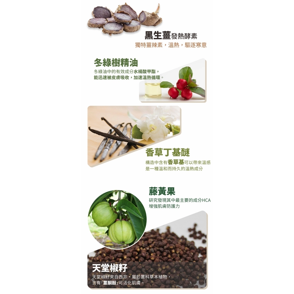 【樂森藥局】樹飛雪 溫熱清體排濁貼布 20片