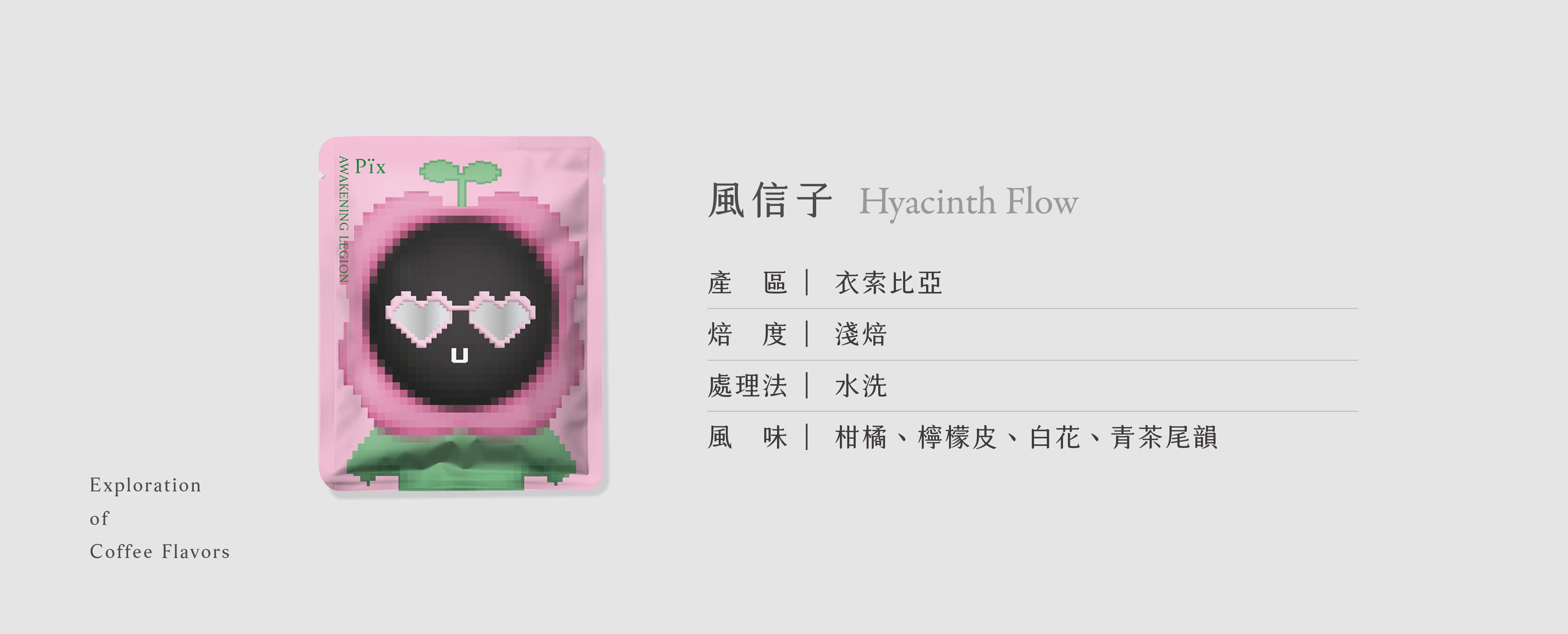 濾掛咖啡推薦｜風信子風味