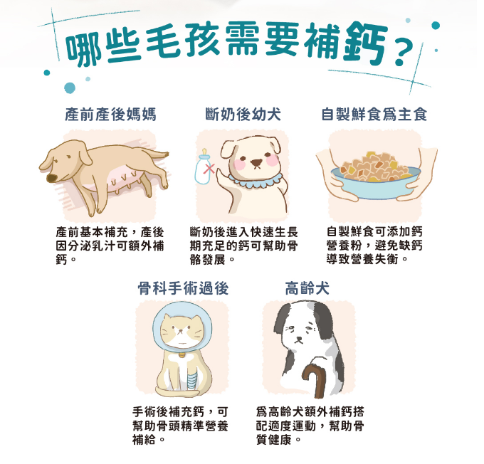 Bluebay 倍力【營養保健】陽光鈣補 (關節加強 / 鈣質補充配方) 150g