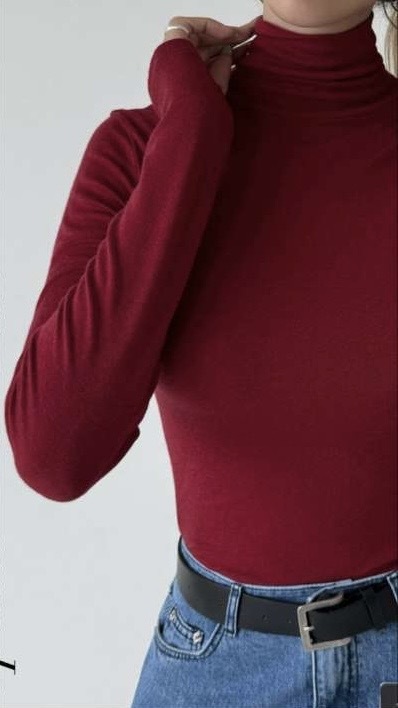 RD2560 Turtleneck slim Top