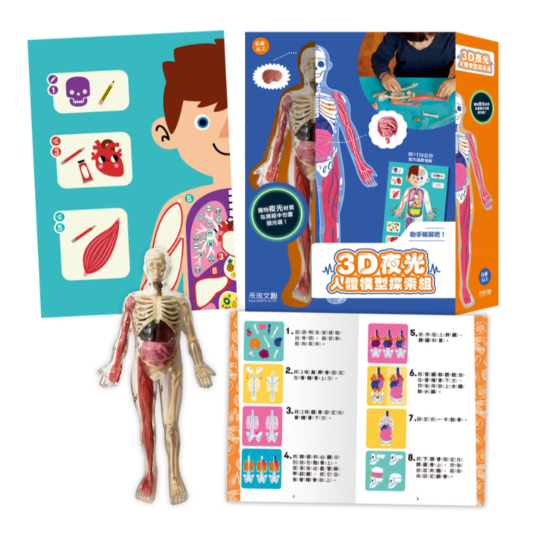 【樂森藥局】禾流文創 3D 夜光人體模型探索組
