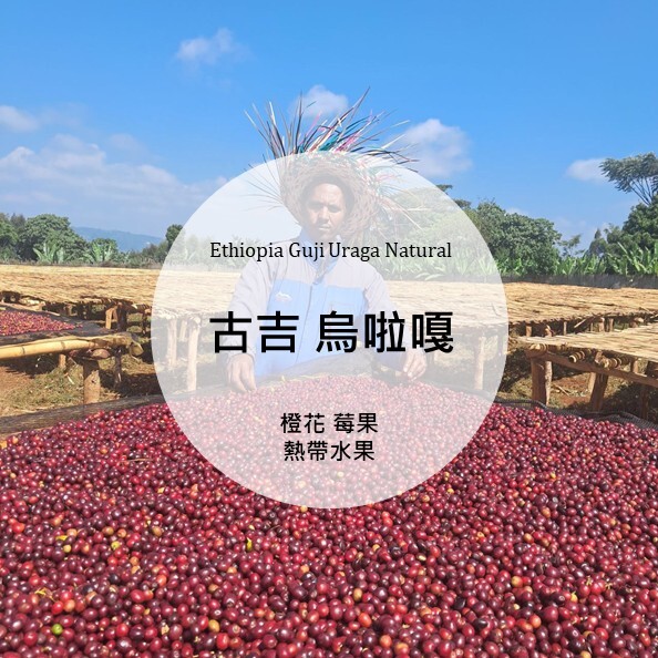 Ethiopia Guji Uraga Natural